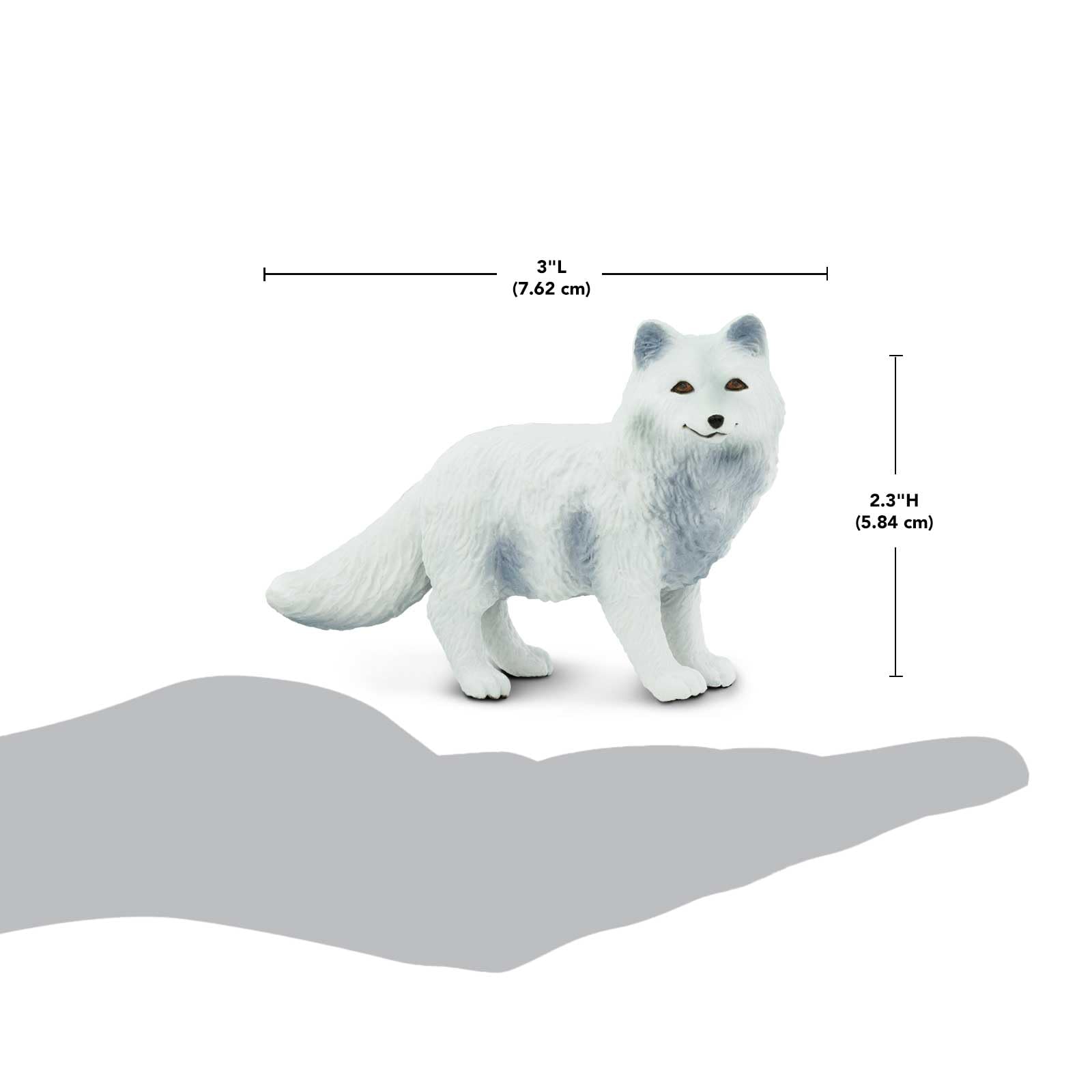 Amazon.com: Safari Ltd. Arctic Fox Figurine - Detailed 3.25